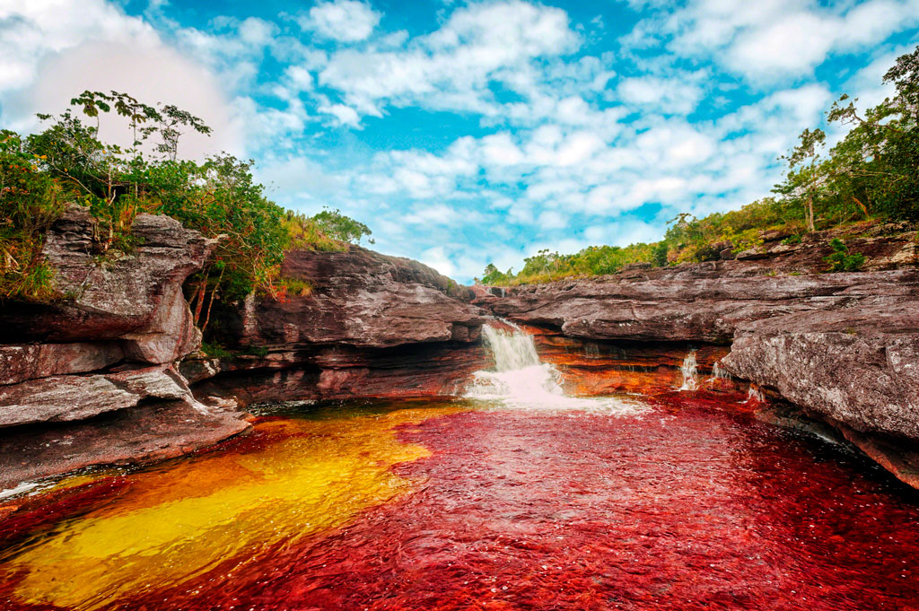 Victory for Environmental Protection: Court Upholds Ban on Oil Exploration Near Caño Cristales