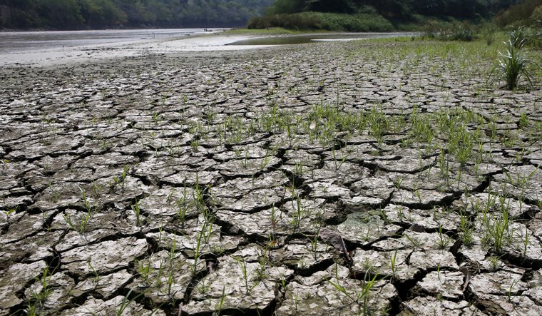 Government Announces 15 Measures to Tackle the El Niño Phenomenon