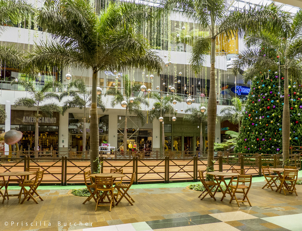 El Tesoro Shopping Center Hosts Sustainability Fair